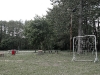 img_6594-custom.jpg