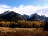 img_8063-large.jpg