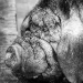 tierpark-148-custom.jpg