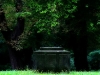 green_glow_by_matthilicious-custom.jpg