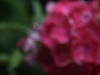 img_1423-custom.jpg