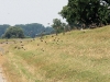 img_1498-custom.jpg