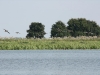 img_1529-custom.jpg